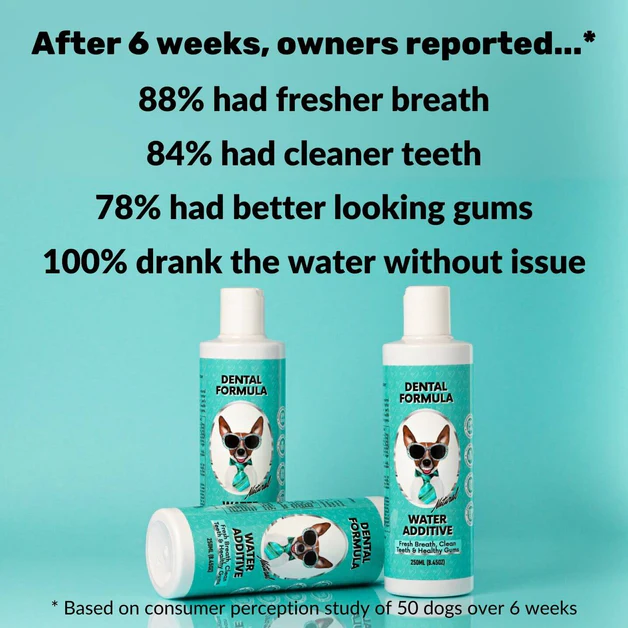 Dental water — daily oral support, no brushing needed