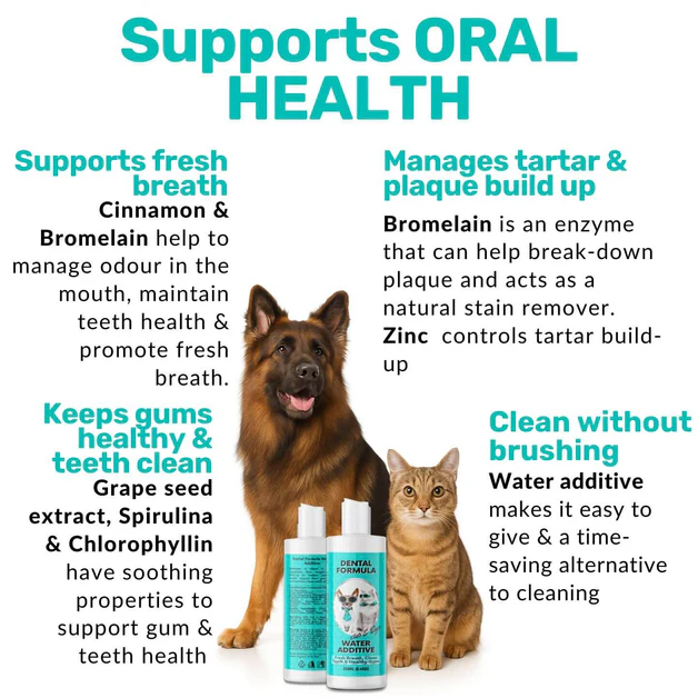 Dental water — daily oral support, no brushing needed