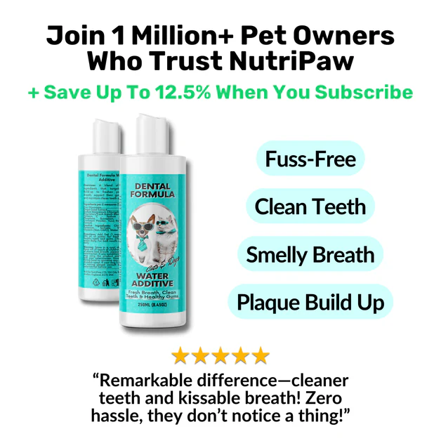 Dental water — daily oral support, no brushing needed
