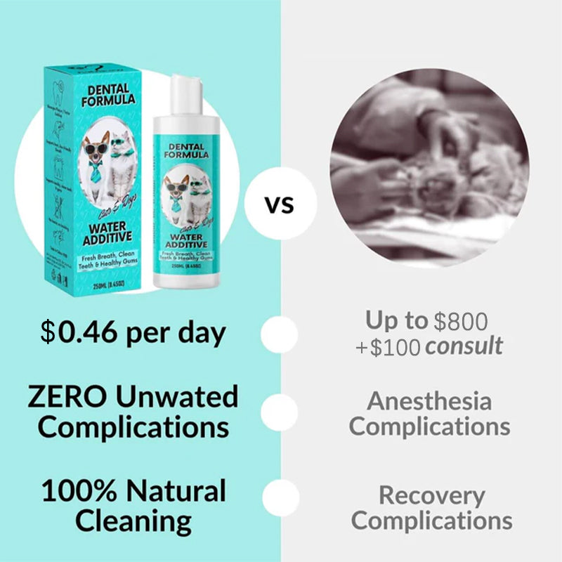 Dental water — daily oral support, no brushing needed