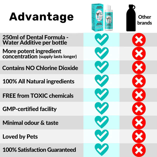 Dental water — daily oral support, no brushing needed