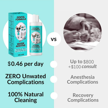 Dental water — daily oral support, no brushing needed